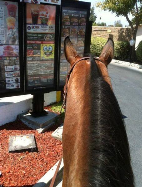 Funny Photos From Work (44 pics) Funny Photos From Work (44 pics)