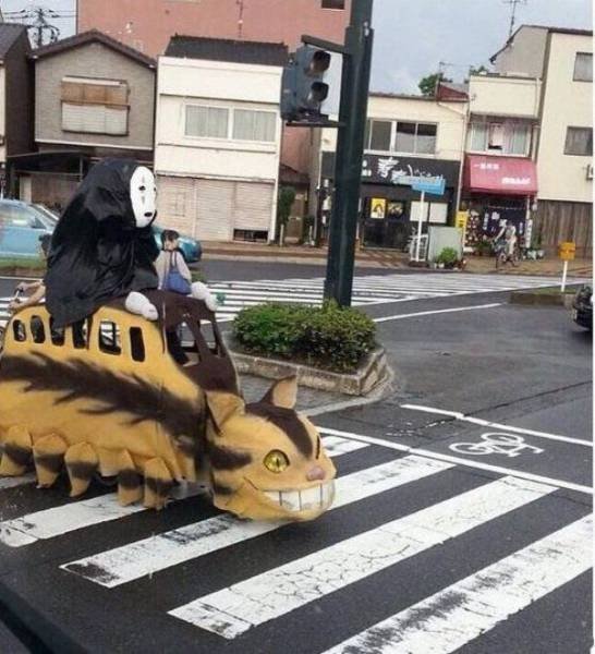 What Is Going On Here? (40 pics) What Is Going On Here? (40 pics)