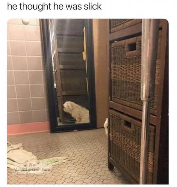 Random Memes (44 pics) Random Memes (44 pics)