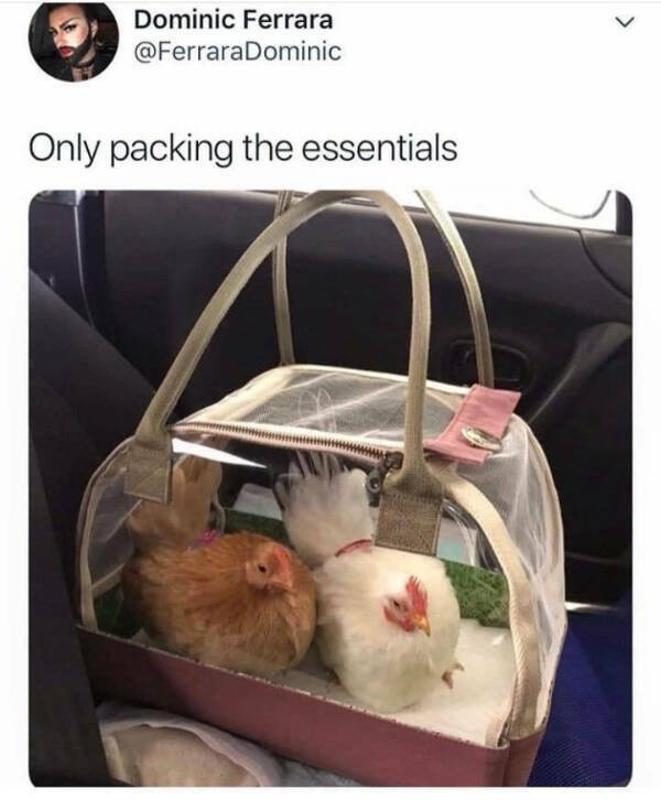 Funny Memes (20 pics)