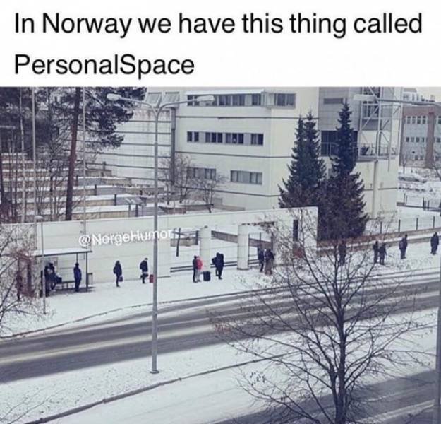 Random Memes (44 pics) Random Memes (44 pics)