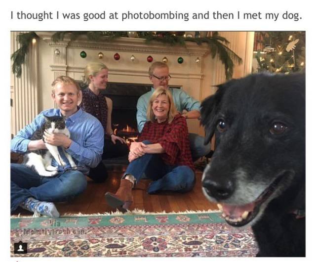 Random Memes (44 pics) Random Memes (44 pics)