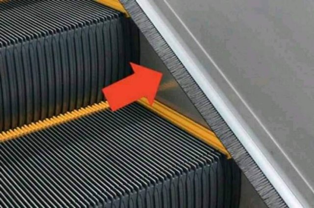 What Are These Things? (15 pics)
