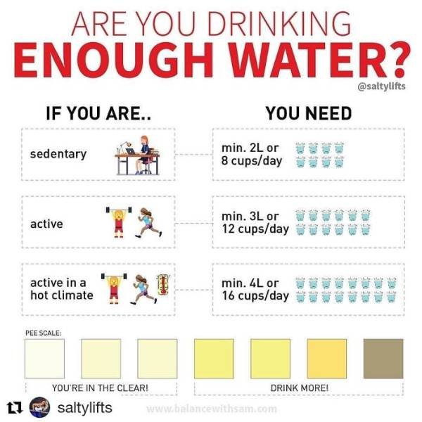 Useful Charts About Food (40 pics) Useful Charts About Food (40 pics)