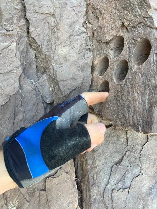 What Are These Things? (23 pics)