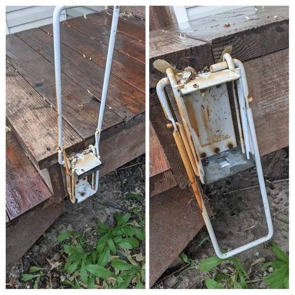 What Are These Things? (23 pics)