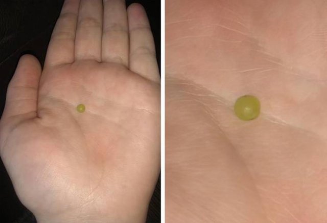 Very Small Things (18 pics) Very Small Things (18 pics)
