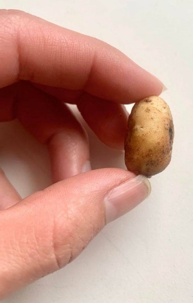 Very Small Things (18 pics) Very Small Things (18 pics)