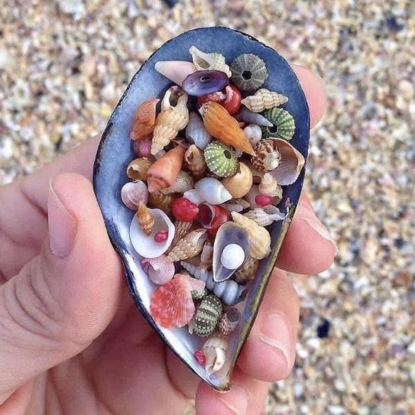 Very Small Things (18 pics) Very Small Things (18 pics)