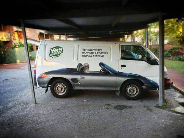 Interesting Finds (22 pics)