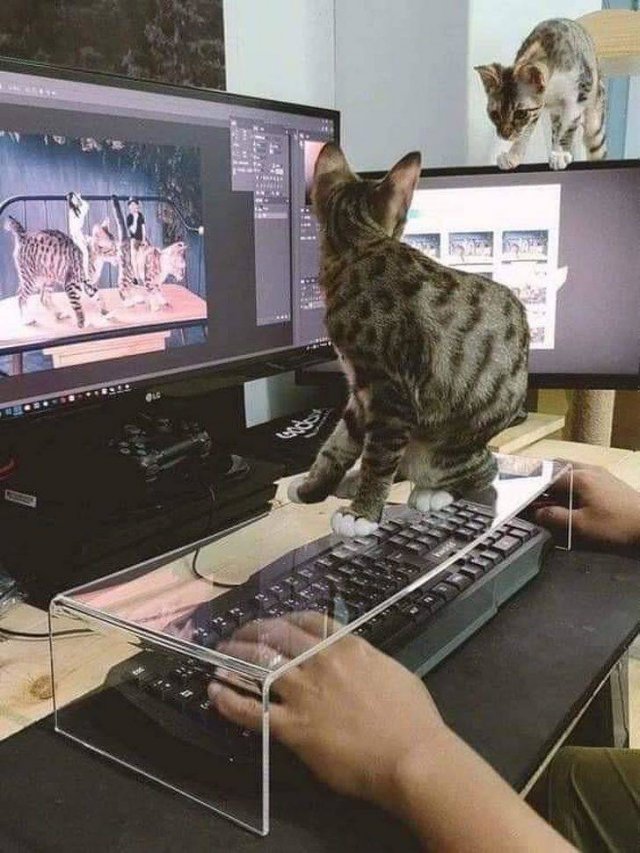 Resourceful People (20 pics)