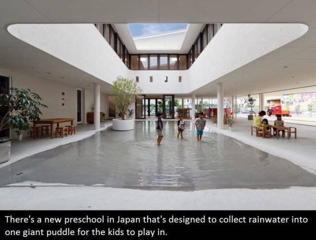 Interesting Facts (21 pics) Interesting Facts (21 pics)