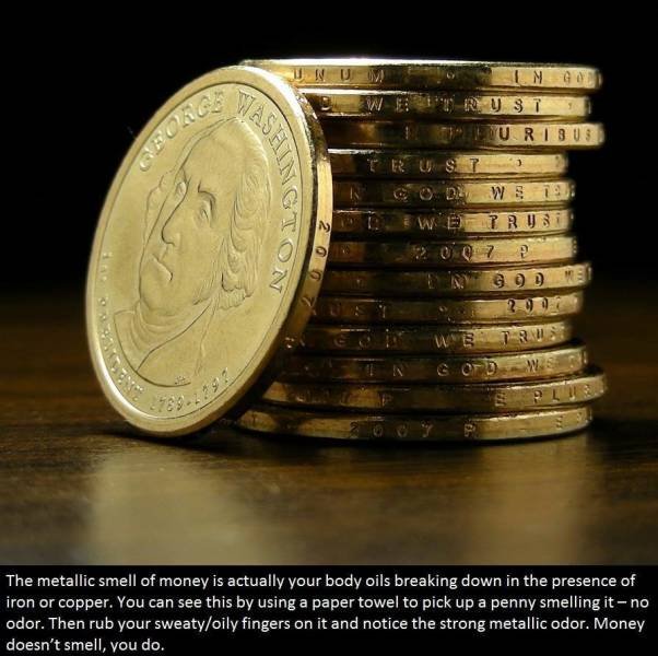 Interesting Facts (21 pics) Interesting Facts (21 pics)