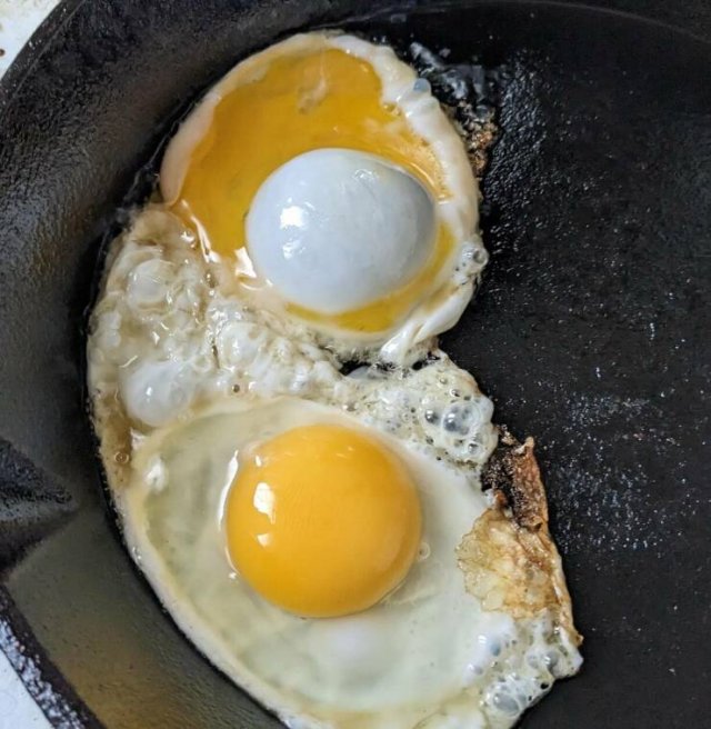 Interesting Finds (20 pics)