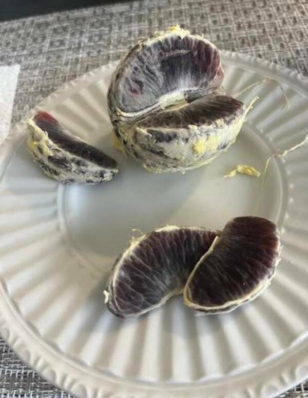 Interesting Finds (20 pics)