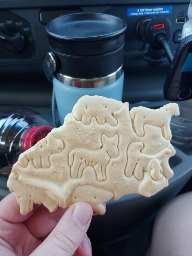 Interesting Finds (20 pics)