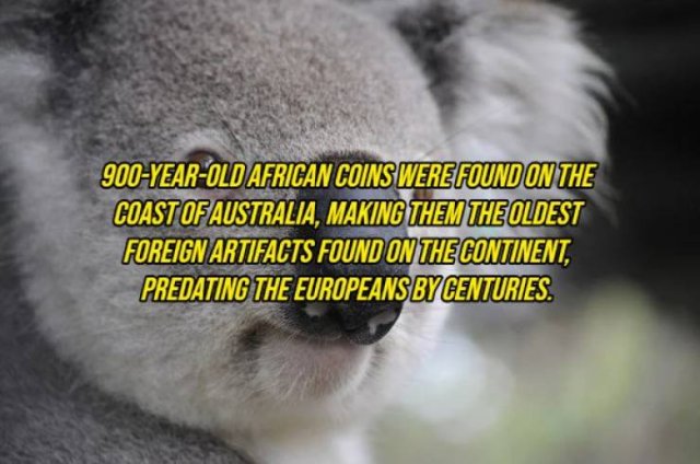Random Facts (20 pics) Random Facts (20 pics)