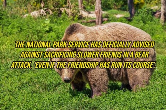 Random Facts (20 pics) Random Facts (20 pics)