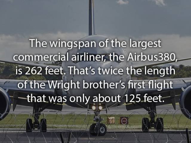 Interesting Facts About Airplanes And Flights (15 pics + 5 gifs)