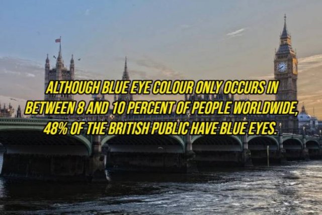 Random Facts (20 pics) Random Facts (20 pics)
