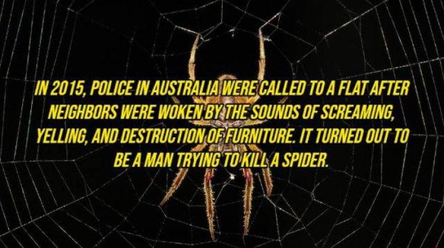 Random Facts (20 pics) Random Facts (20 pics)