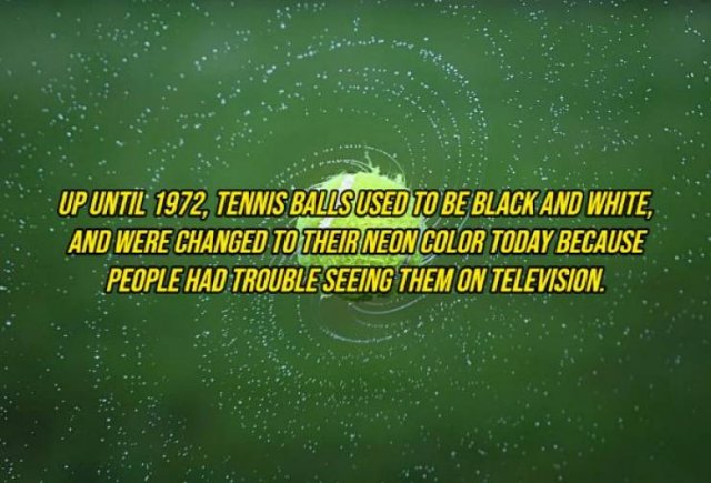 Random Facts (20 pics) Random Facts (20 pics)