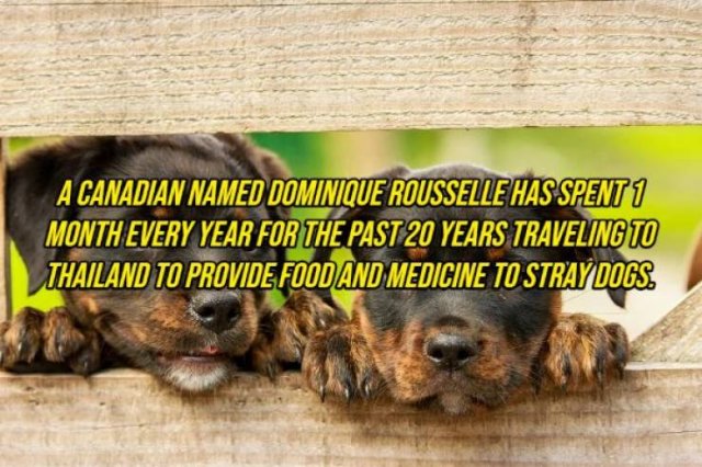 Random Facts (20 pics) Random Facts (20 pics)