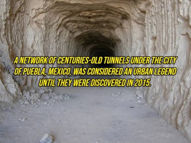 Random Facts (20 pics) Random Facts (20 pics)