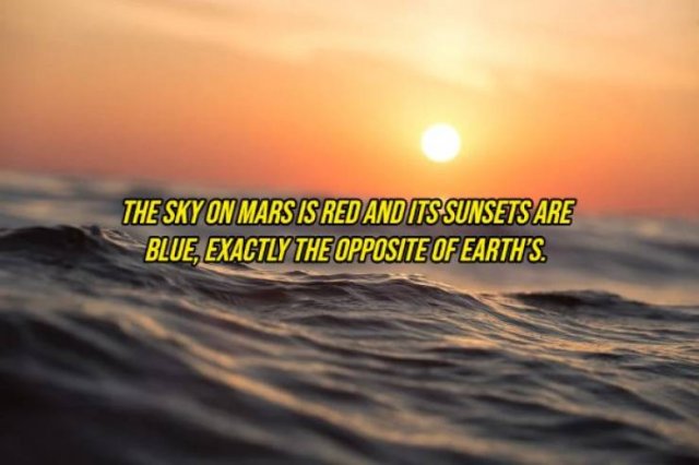 Random Facts (20 pics) Random Facts (20 pics)