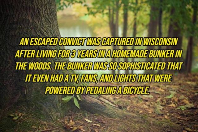 Random Facts (20 pics) Random Facts (20 pics)
