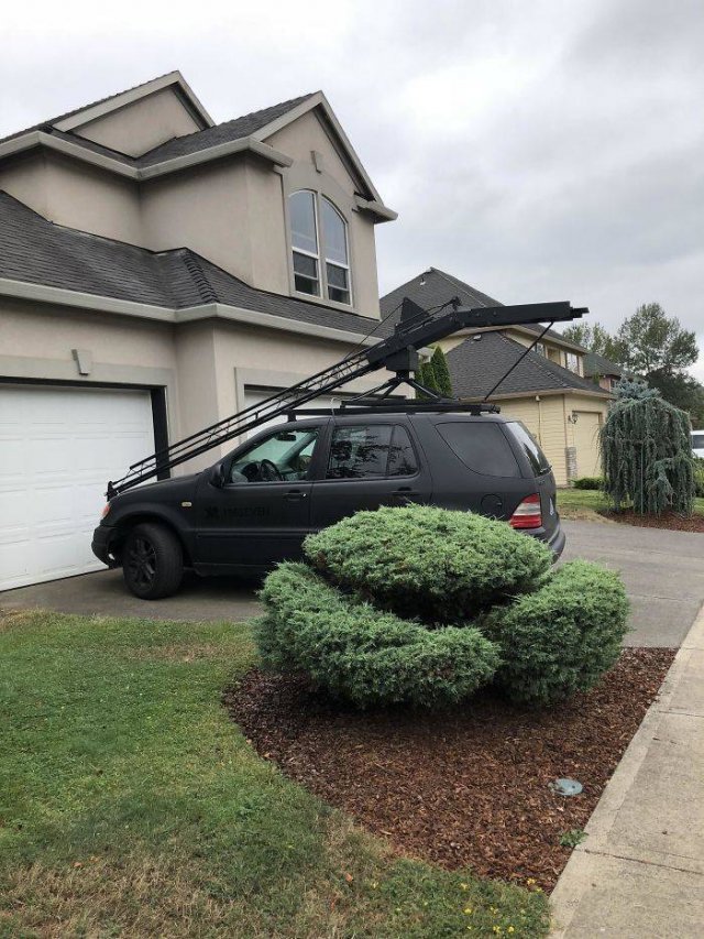 What Are These Things? (30 pics)