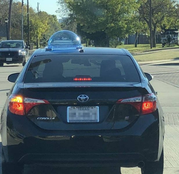 What Are These Things? (30 pics)