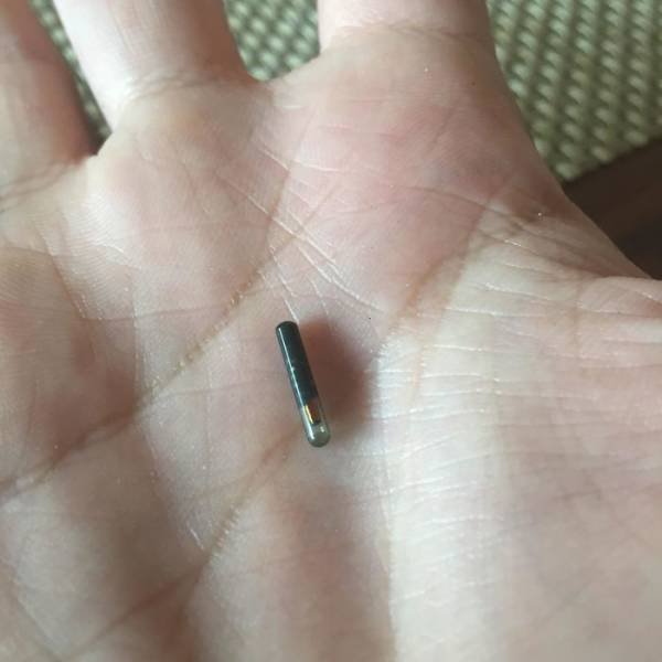What Are These Things? (30 pics)