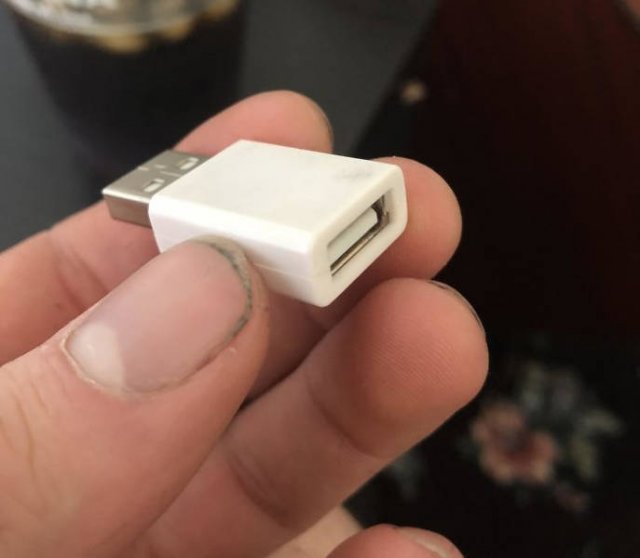 What Are These Things? (30 pics)