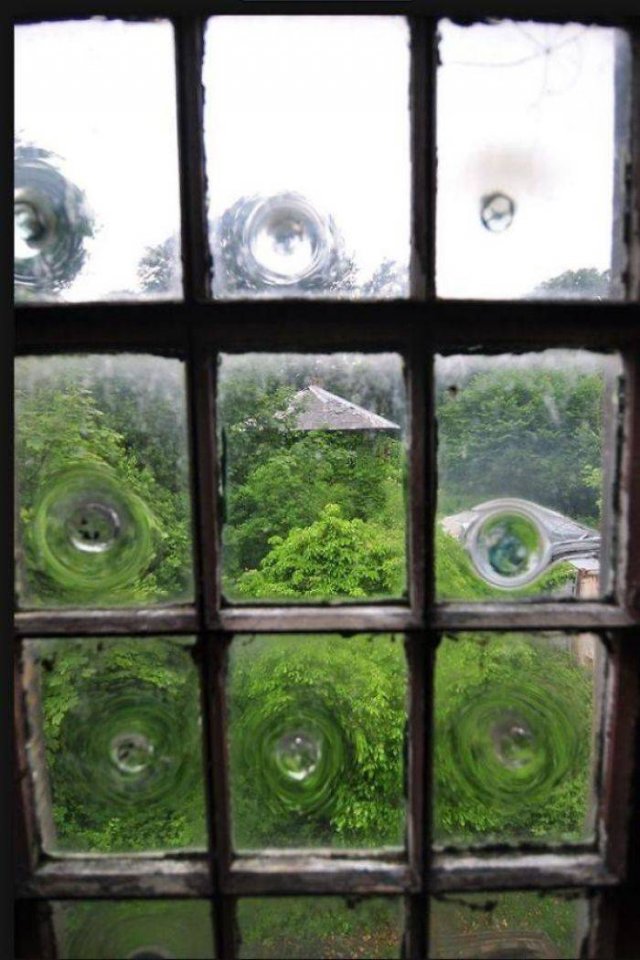 What Are These Things? (30 pics)