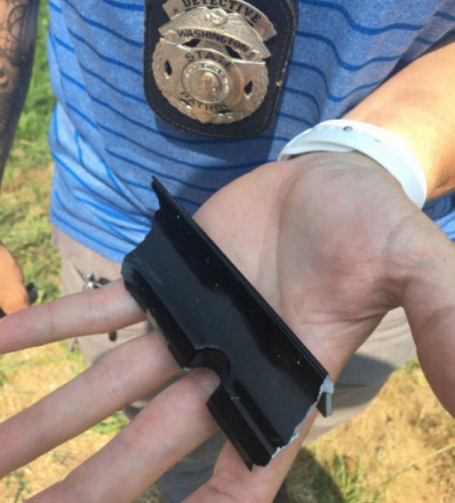 What Are These Things? (30 pics)