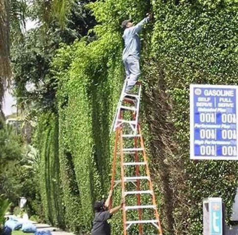 They Don't Care About Safety (47 pics)