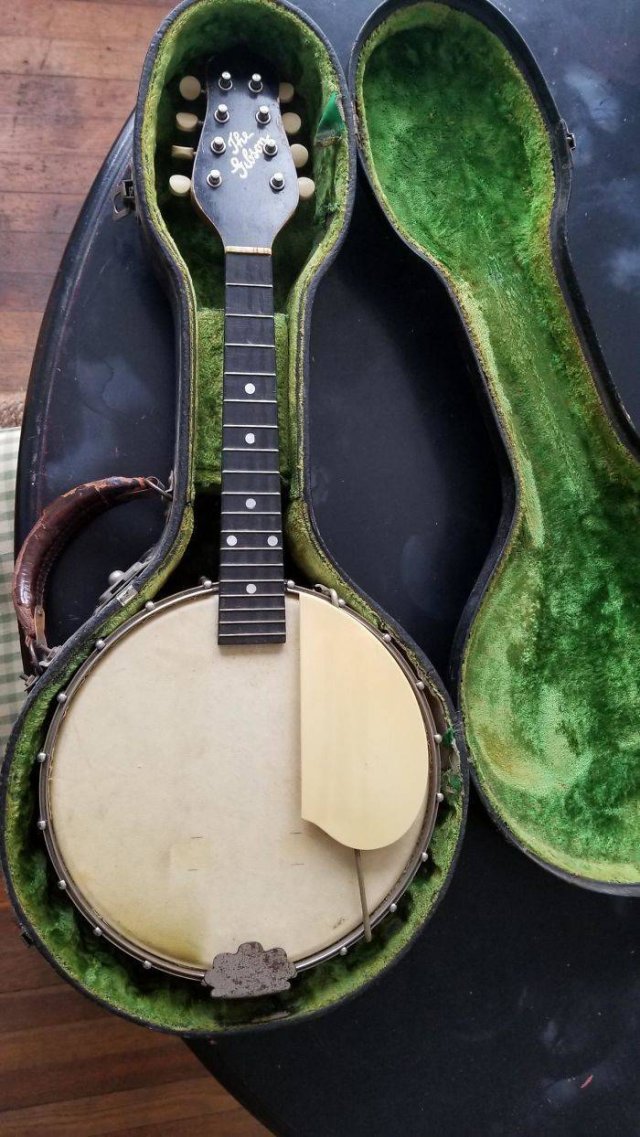 What Are These Things? (30 pics)