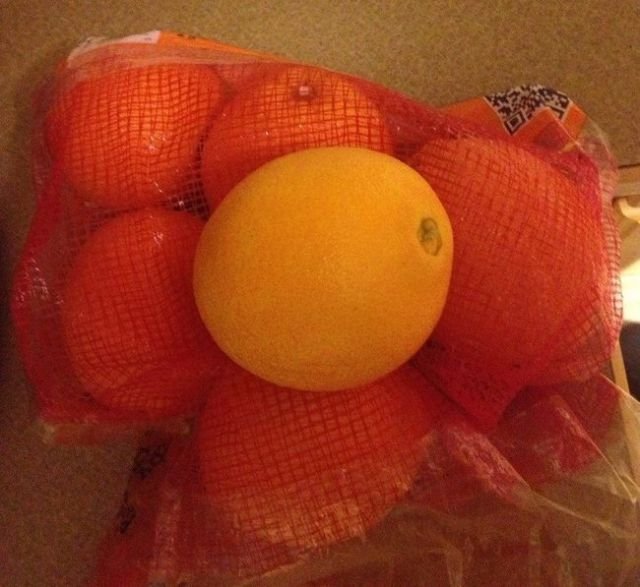Annoying Situations (30 pics)