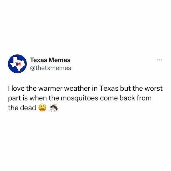 Texas Memes (29 pics)