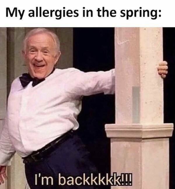 Texas Memes (29 pics)