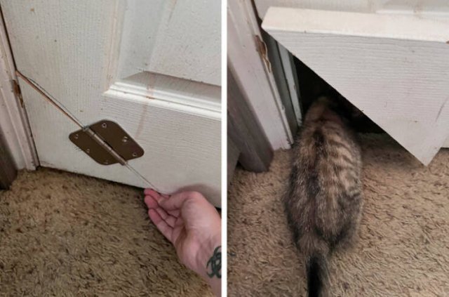Resourceful People (19 pics)