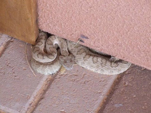 What Is Going On Here? (43 pics) What Is Going On Here? (43 pics)