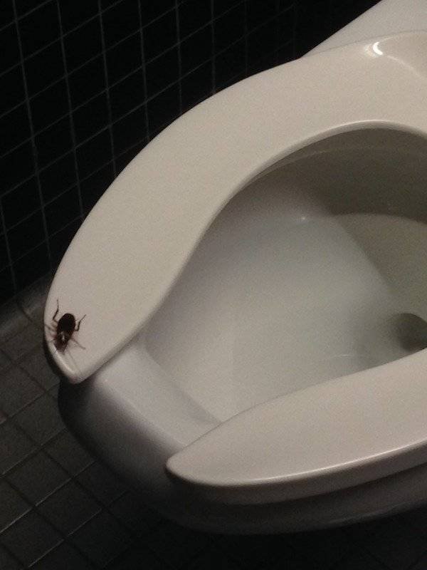What Is Going On Here? (43 pics) What Is Going On Here? (43 pics)