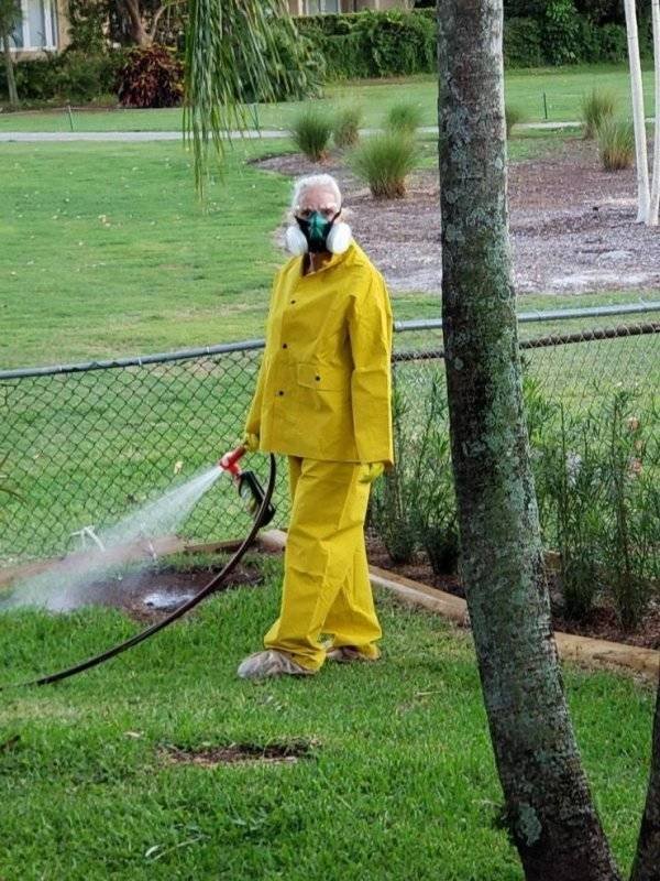 What Is Going On Here? (43 pics) What Is Going On Here? (43 pics)