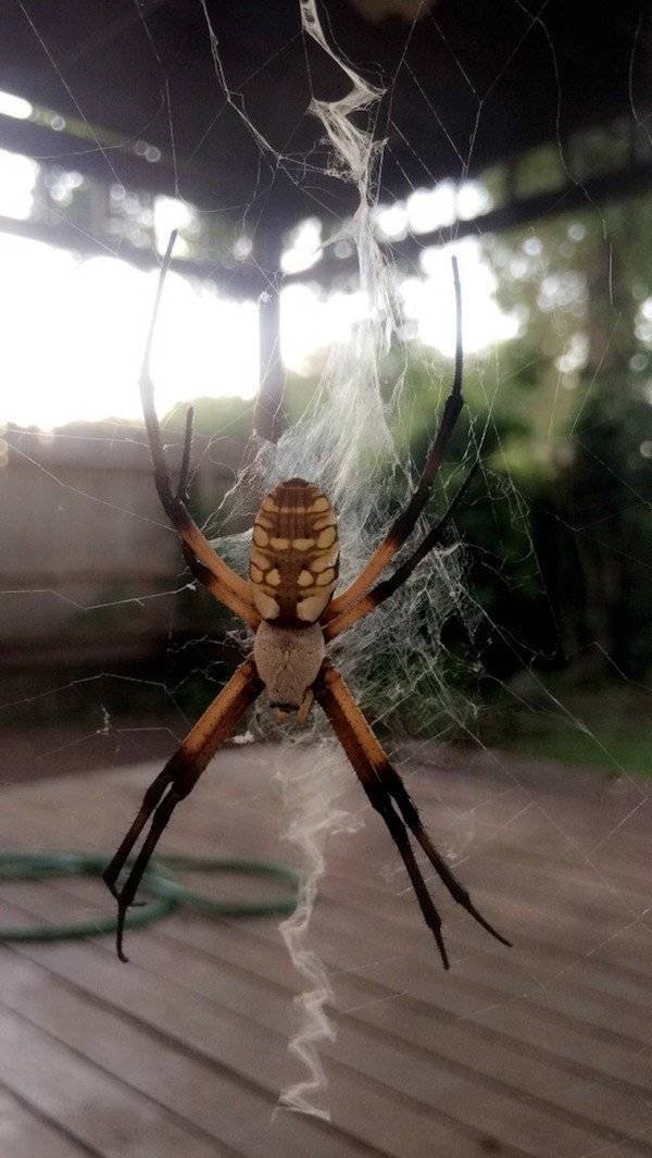 What Is Going On Here? (43 pics) What Is Going On Here? (43 pics)