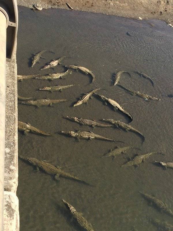 What Is Going On Here? (43 pics) What Is Going On Here? (43 pics)