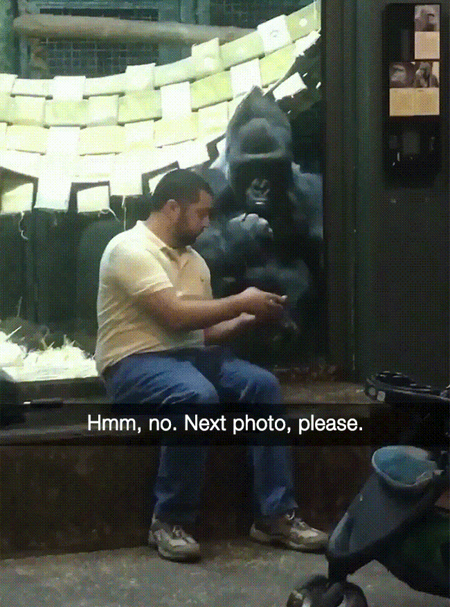 Interesting Finds (26 pics)