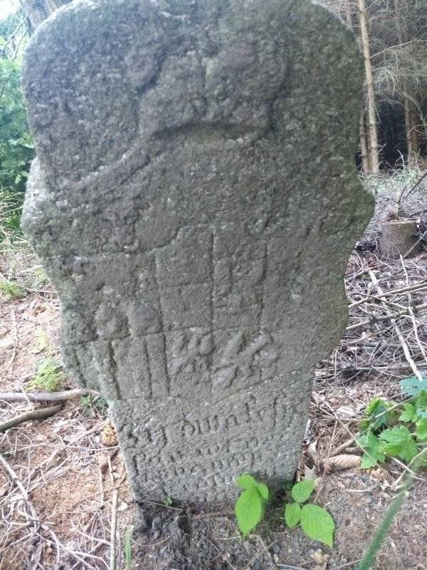 What Are These Things? (20 pics)