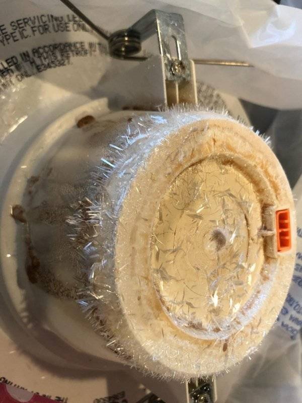 What Are These Things? (20 pics)